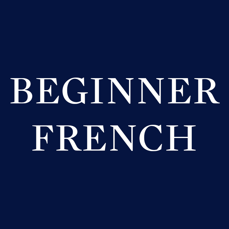 beginner-french-diplomatic-institute-of-paris